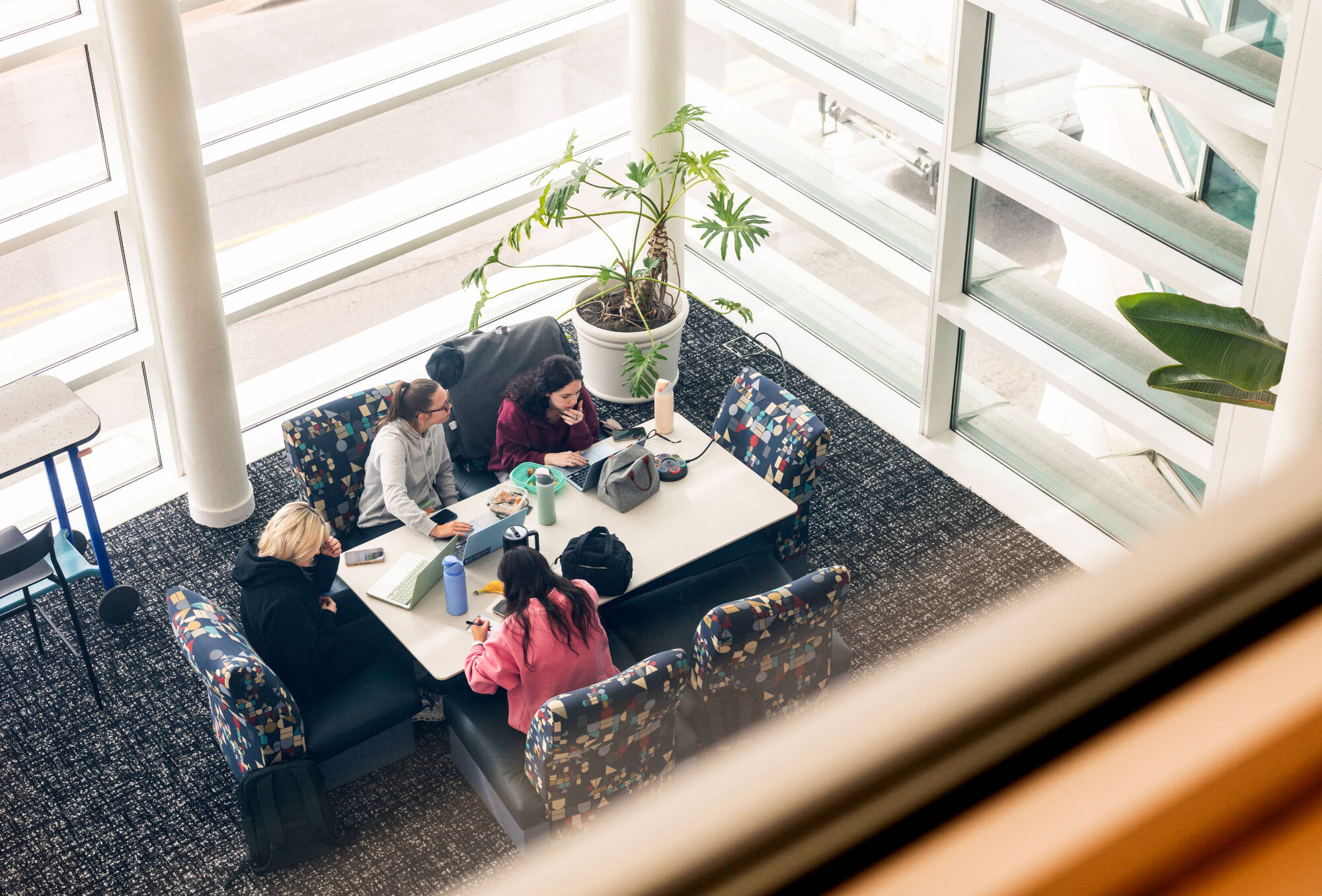 A group of students studying.